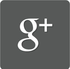 DriveMeSafely sur Google+